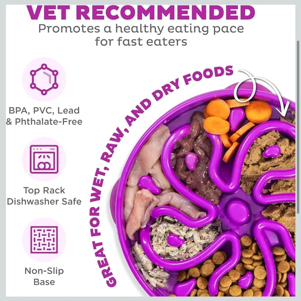 Outward Hound Purple Dog Bowl